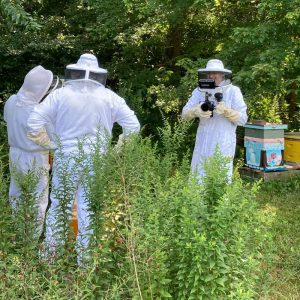 Beekeeping with Barrington Farm School